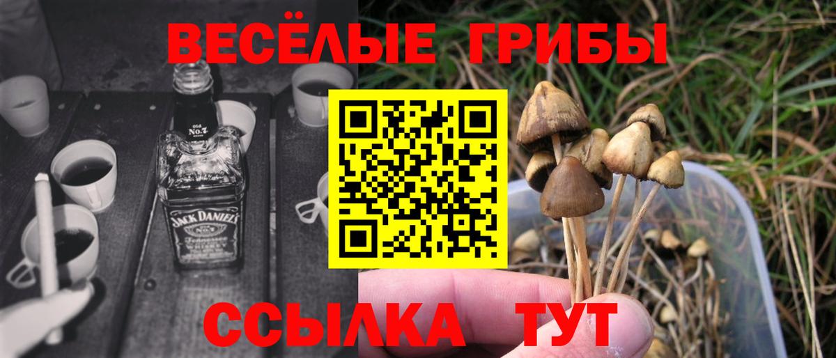 Тулун  Галлюциногенные грибы мухоморы  Вход с VPN 